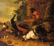 Melchior de Hondecoeter Birds in a Park oil painting artist